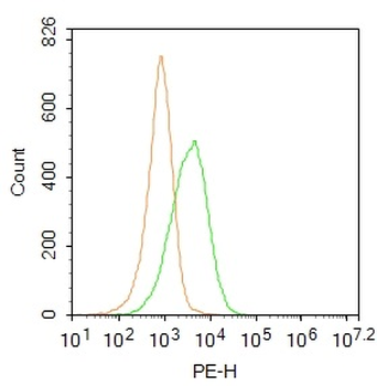 CD45 Rabbit Polyclonal Antibod