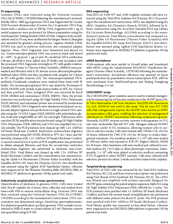 北京大学使用IPHASE产品HGPRT基因突变试剂盒发表高质量文章(IF=12.5)
