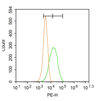 HAVCR1 Rabbit Polyclonal Antib