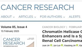 IF=12.5丨Cancer Res.：斑马鱼PDX+类器官揭示CHD6是FH缺陷型肾细胞癌的潜在药物靶点！