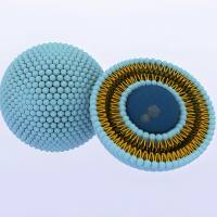 肿瘤细胞内GSH触发的“智能”脂质体：实现PEG脱落、TAT激活与紫杉醇特异性释放