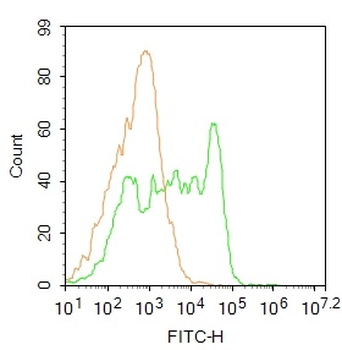 Ly6a Rabbit Polyclonal Antibod