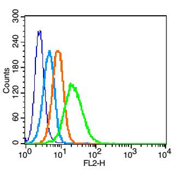 LRP1 Rabbit Polyclonal Antibod