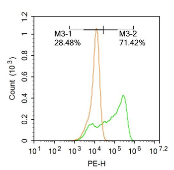 CCL26 Rabbit Polyclonal Antibo