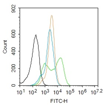 Phospho-CDKN1A/p21 (Thr57) Rab