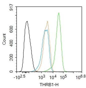 THRB1 Rabbit Polyclonal Antibo