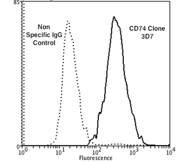 CD74 Antibody (PerCP)抗体，orb396