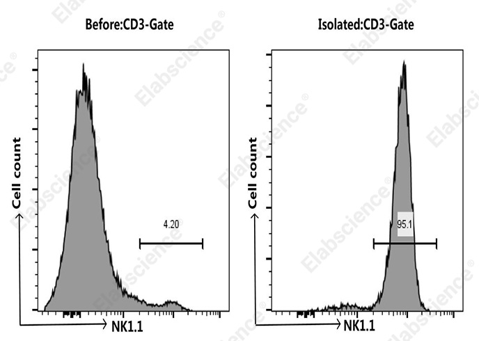 Elabscience 小鼠NK细胞阴性分选试剂盒：95.1