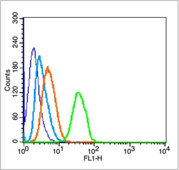 HAVCR1 Rabbit Polyclonal Antib