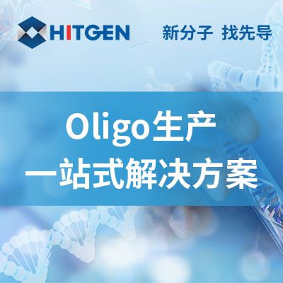 一站式寡核苷酸生产解决方案