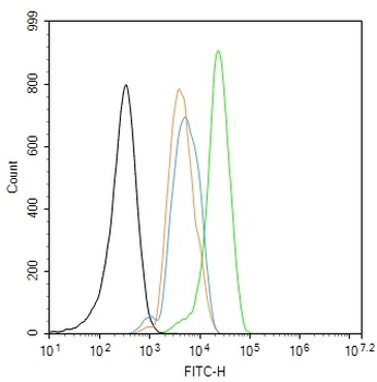 PDK1/Mitochondrial Pyruvate de