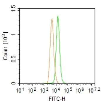 SGPL1 Rabbit Polyclonal Antibo