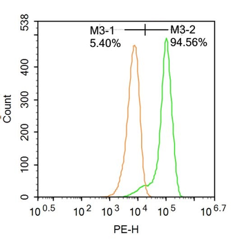 NR3C2/Mineralocorticoid recept