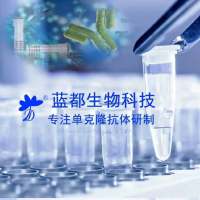 甲qing菊酯抗体 甲qing菊酯单抗 抗甲qing菊酯单克隆抗体