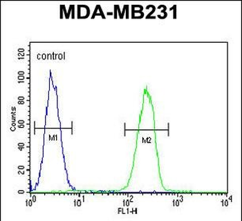 HPGD Rabbit Polyclonal Antibod
