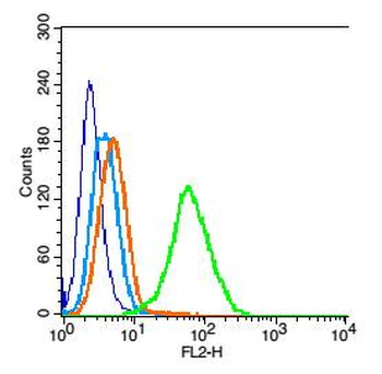 PARK7/DJ1 Rabbit Polyclonal An