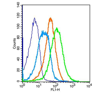 CXCR4 Rabbit Polyclonal Antibo