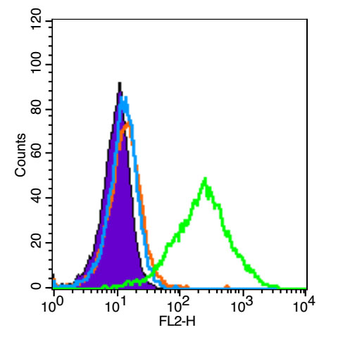 Phospho-Bad (Ser134) Rabbit Po