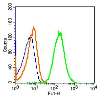 Ly6a Rabbit Polyclonal Antibod