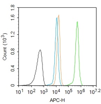 Phospho-H2AX (Ser139) Rabbit P