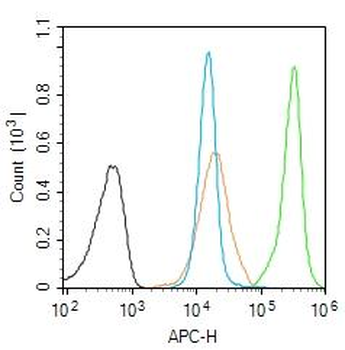 BARD1 Rabbit Polyclonal Antibo