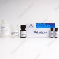 Elabscience 小鼠Th17 流式细胞术染色试剂盒:一步精准检测,解锁免疫研究新速度!