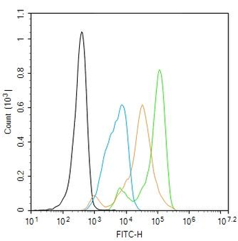 PDCD4 Rabbit Polyclonal Antibo