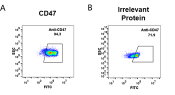 CD47 Biosimilar Antibody抗体，orb