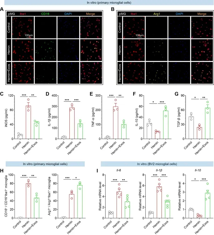免疫荧光分析 免疫荧光分析