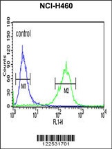 SPG20 Antibody抗体,orb1262401,bi