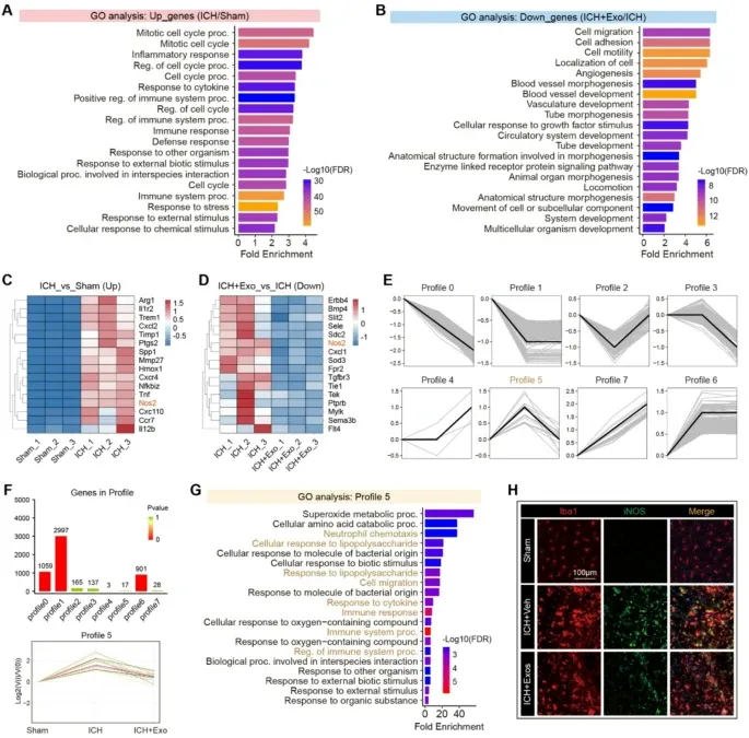 生物信息学分析 生物信息学分析