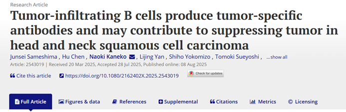 从空间图谱到量化验证｜Tissue Cytometry 技术赋能空间多组学解析 HNSCC 免疫微环境