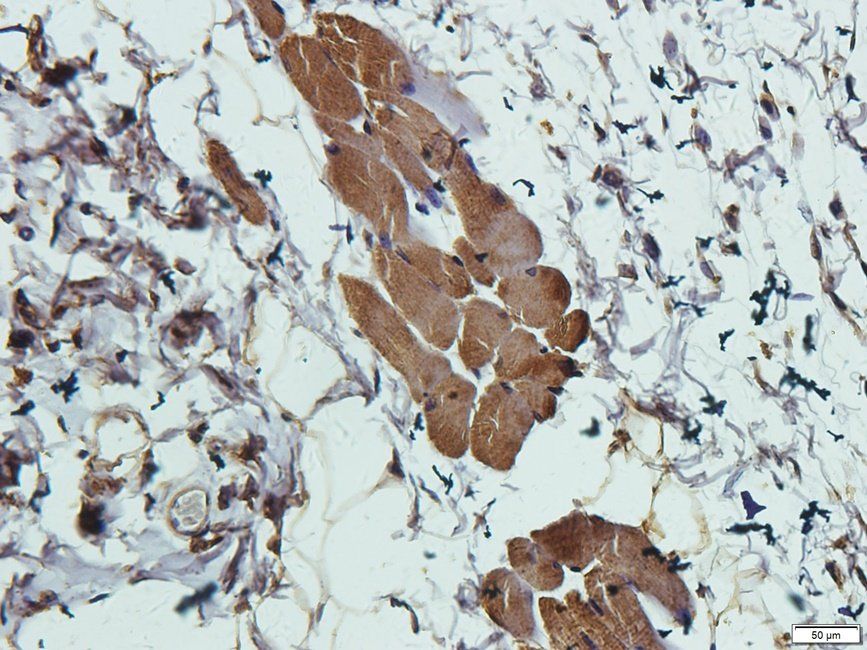 产品细节图片10