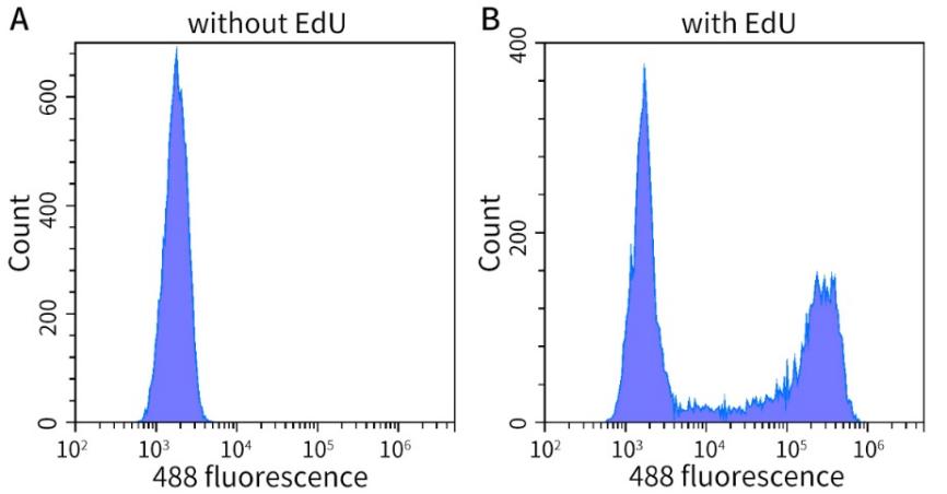 EdU升级！细胞增殖检测效率翻倍