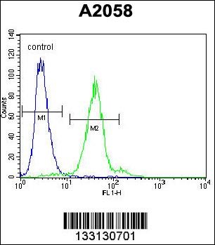 TEX261 Antibody抗体，orb1269078，b