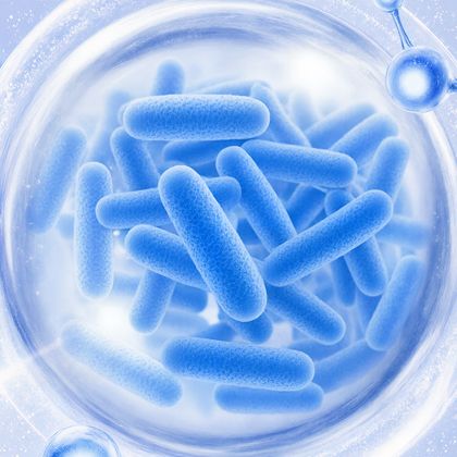 代谢流检测分析