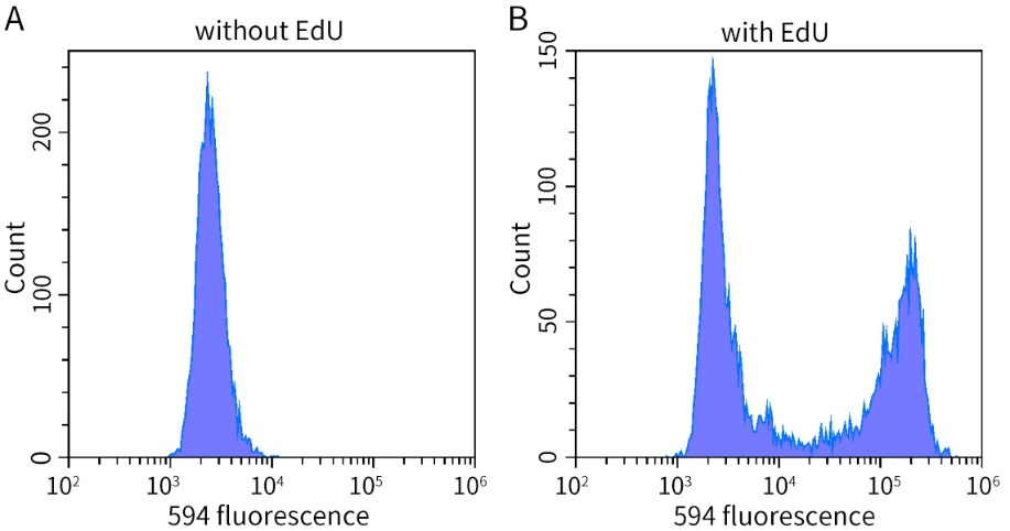 EdU升级！细胞增殖检测效率翻倍