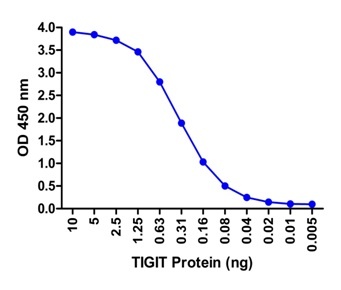 TIGIT Antibody [4A11]抗体，orb124