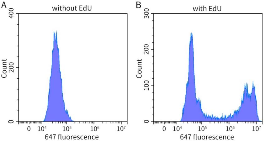 EdU升级！细胞增殖检测效率翻倍
