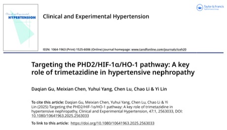文献解读：靶向PHD2/HIF-1α/HO-1通路——曲美他嗪在高血压肾病治疗中的关键作用