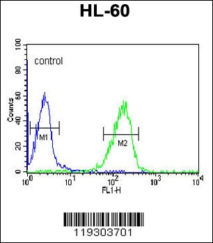 FKBP11 Antibody抗体，orb1263656，b