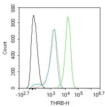 THRB Rabbit Polyclonal Antibod