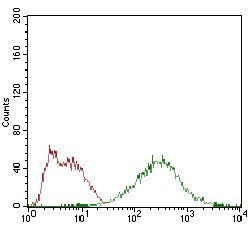 EIF2A Antibody抗体，orb153550，bio