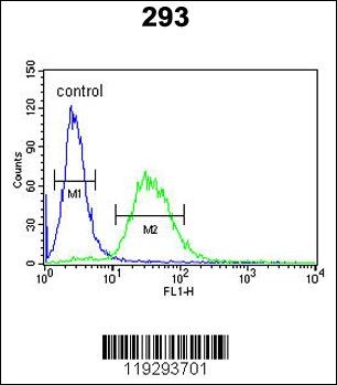 F10 Antibody抗体,orb1263690,bior