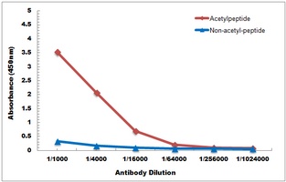Histone H3 (Acetyl-K122) Antib