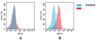 CD48 Antibody抗体，orb757370，bior
