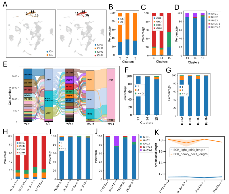 文献解读 | 非模式物种猪的单细胞免疫组库测序揭示了流感病毒感染下的T/B细胞受体多样性及克隆扩增特征