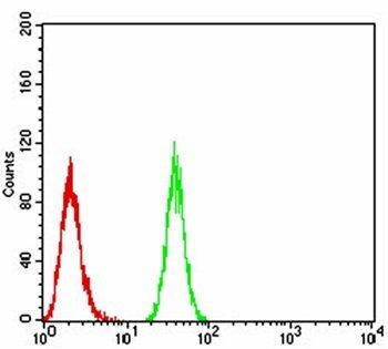 BMP2 Antibody抗体，orb334017，bior