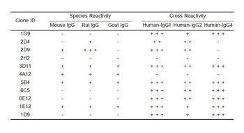 Human IgG Antibody抗体，orb232236