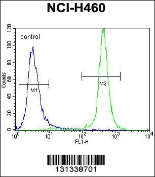 GABRA4 Antibody抗体，orb1269452，b